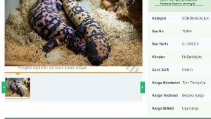 İnternetten yasa dışı 'canavar' satışı