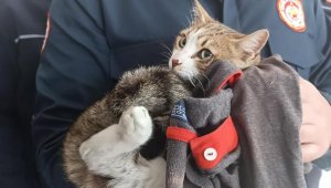 İtfaiye ekibi kurtardıkları, bir bacağı ampute edilen kediyi sahiplendi