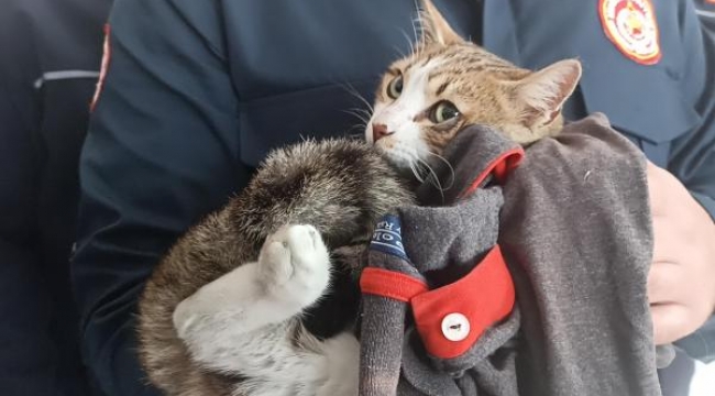 İtfaiye ekibi kurtardıkları, bir bacağı ampute edilen kediyi sahiplendi