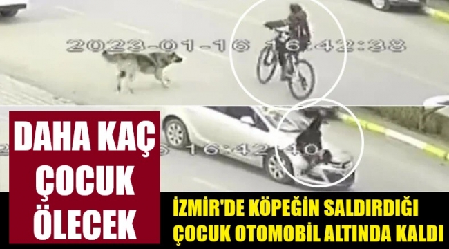 İzmir'de köpekten kaçan bisikletli çocuğa otomobil çarptı