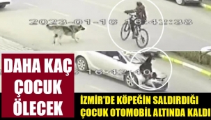 İzmir'de köpekten kaçan bisikletli çocuğa otomobil çarptı