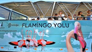 İzmir'de 'Flamingo Yolu' turuna 4 bin ziyaretçi katıldı