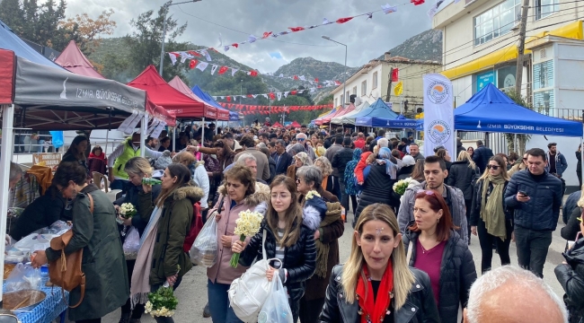 Karaburun Nergis Festivali'ne 100 bini aşkın ziyaretçi geldi