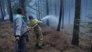 Kaz Dağları'ndaki orman yangını çıktı, ekipler müdahale etti