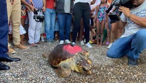 Kıbrıs Barış Harekatı'nın yıl dönümünde denize bırakıldı, 2.500 kilometre yol gitti