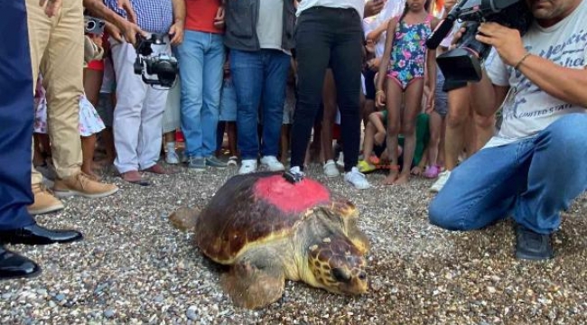 Kıbrıs Barış Harekatı'nın yıl dönümünde denize bırakıldı, 2.500 kilometre yol gitti