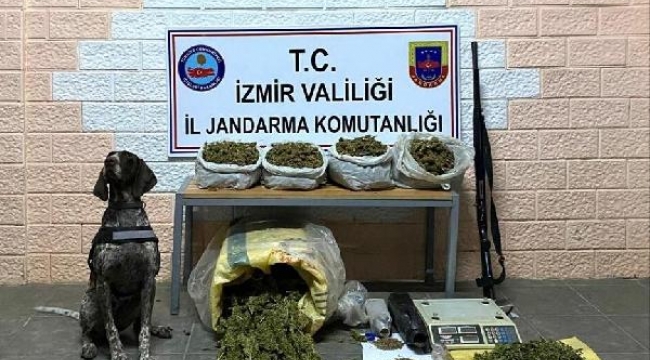 Kökünü kurutuncaya kadar devam: 59 gözaltı