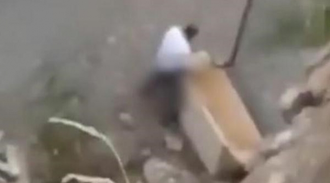 Köpeğe cinsel istismara 1,5 yıl hapis