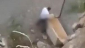 Köpeğe cinsel istismara 1,5 yıl hapis