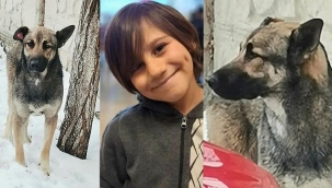 Köpeğin öldürdüğü çocuğun ailesi isyanda!