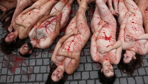 Çırılçıplak kürk ve deri eylemi