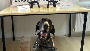 Kurusıkıdan çevirme tabancaları 'Veda' buldu