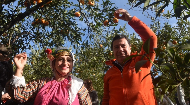 Mandalina bahçelerini kendimiz imara açtık