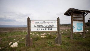 Marmara Gölü'nde organik tarım sonrası ayçiçeği üretimi hedefi