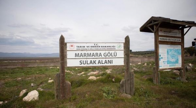 Marmara Gölü'nde organik tarım sonrası ayçiçeği üretimi hedefi