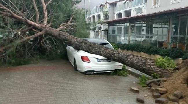 Marmaris'te dereler taştı, ağaçlar devrildi