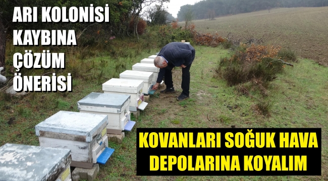 Prof. Dr. Baytekin: Arılarımızı soğuk hava depolarında bekletebiliriz