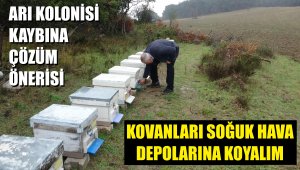 Prof. Dr. Baytekin: Arılarımızı soğuk hava depolarında bekletebiliriz