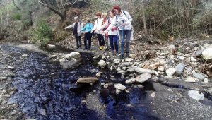 Timinciler Çayı simsiyah!