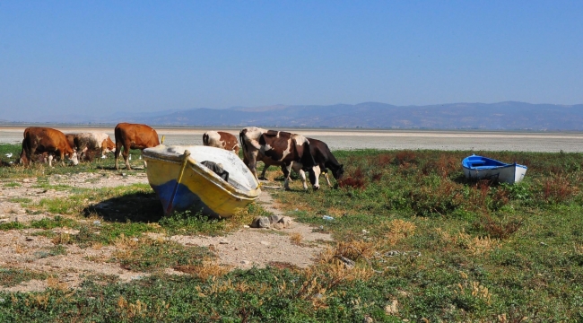 Türkiye'nin ilk iklim davası! İşte çıkan karar