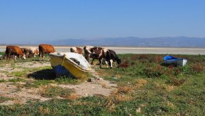 Türkiye'nin ilk iklim davası! İşte çıkan karar