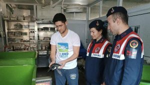 Yaralı bulunan yeşil deniz kaplumbağası kurtarıldı