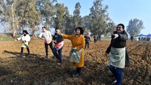 Yaşar Üniversitesi öğrencileri karakılçık ekimi yaptı
