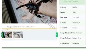 Zehrinin litresi 10 milyon dolar!