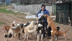 104 köpek, 300 kedi, 3 at, 40 kuş bakıyor!