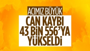 Can kaybı 43 bin 556'ya yükseldi