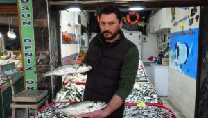 Çanakkale'de lüferin kilosu 350 TL'ye düştü