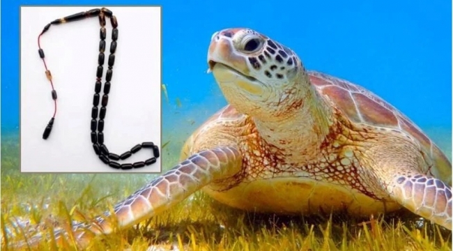 Caretta caretta kabuğundan satılık tespih