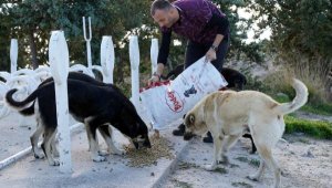 Çeşme Belediyesi'nden vatandaşa 'bir kap mama ve su' çağrısı