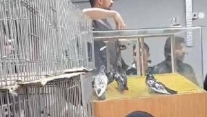 Gönen Güvercin Sevenler Derneği depremzedelere 75 bin TL bağışladı