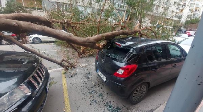 İzmir'de fırtına! Ağaç devrildi, çatı uçtu, araçlar hasar gördü