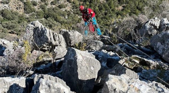 Kayalıklarda mahsur kalan 2 keçi kurtarıldı