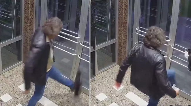 Kediyi tekmelemişti! Tutuklandı