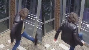 Kediyi tekmelemişti! Tutuklandı