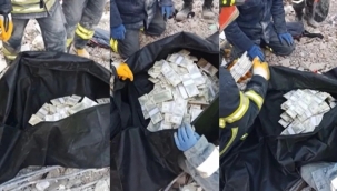 Kurtarma ekibi enkazdan 2 milyon dolar çıkardı