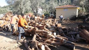 Marmaris'ten deprem bölgesine 67 ton yakacak odun gönderildi