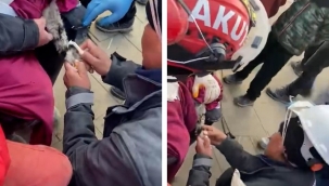 Menemen ekibinden, 10 katlı bina enkazından kurtarılan bir kediye serum