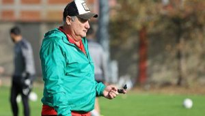 Nazille'de Toros korkuttu