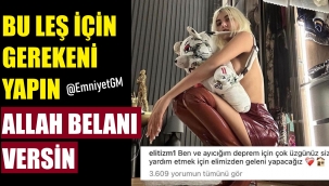 Rezilsin! Ruh hastası kadın...