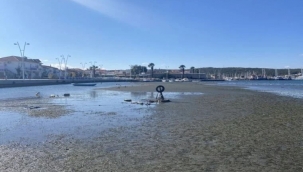 Seferihisar'da deniz 25 metre çekildi! İşte nedeni