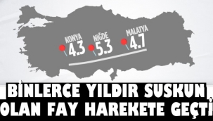 Uyuyan fay hareketlendi! 3 kentte art arda deprem