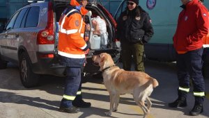 Yunanistan'dan destek sürüyor; 37 kişilik profesyonel ekip Türkiye'de