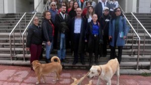 3 köpeği zehirledi, hakim yargılamayı durdurdu