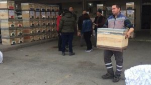 Alaşehir'de arıcılık kursunu tamamlayan kursiyerlere kovan
