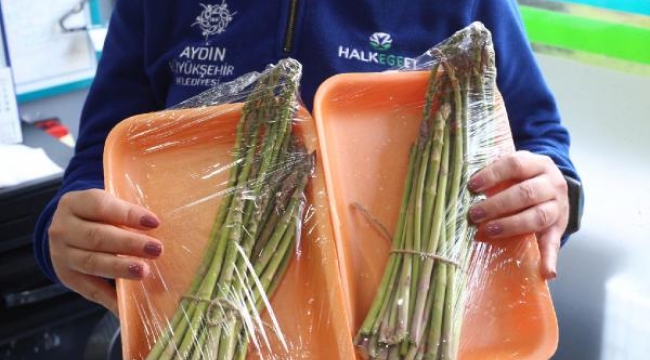 Aydın'da kuşkonmaz hasadına başlandı