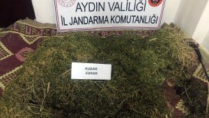 Bahçede gömülü 15 kilo esrara 1 tutuklama